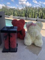 Bears