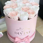 Jessica Preserved Roses (Choose color)