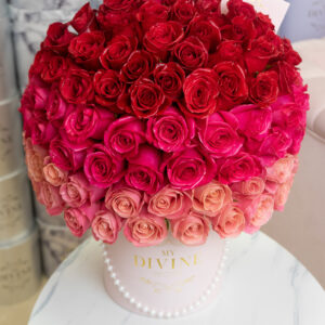Deluxe Ombre Hatbox - Image 5