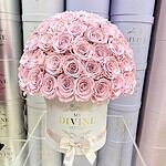 Preserved 100 Roses Round