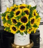 Caja de Girasoles - Image 2