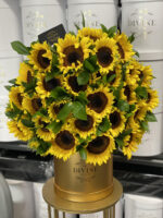 Caja de Girasoles - Image 3