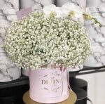 Enamorada de la Gypsophila Blanca - Image 2
