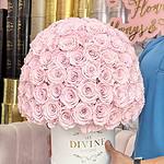 150 preserved Roses (Choose colors)