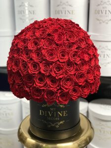 150 preserved Roses (Choose colors) - Image 3