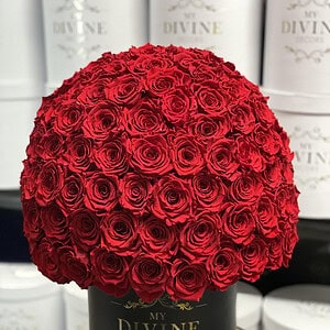 150 preserved Roses (Choose colors) - Image 3