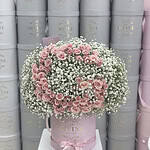 Baby's Breath With Initial