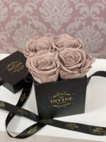 Caja Mini 4 Rosas Preservadas - Image 9