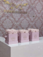 Caja de 4" Rosas Preservadas Graduación - Image 4