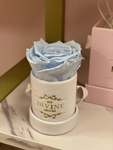 Le Petit Velvet - Image 2