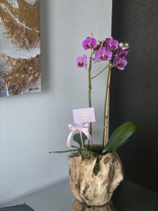 Orchid in Wooden Vase - Image 5