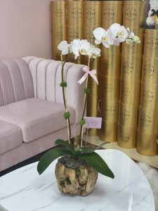 Orchid in Wooden Vase - Image 4