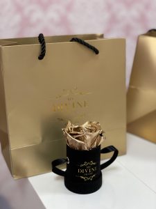 Le Petit Velvet - Image 7