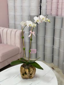 Orchid in Wooden Vase - Image 3