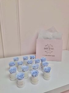 Le Petit Velvet - Image 3