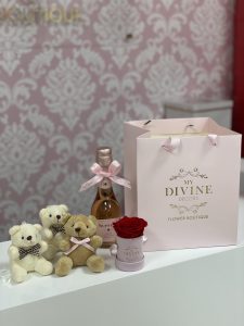 Le Petit Velvet - Image 5