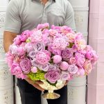 Pivoines (Peonies in French)
