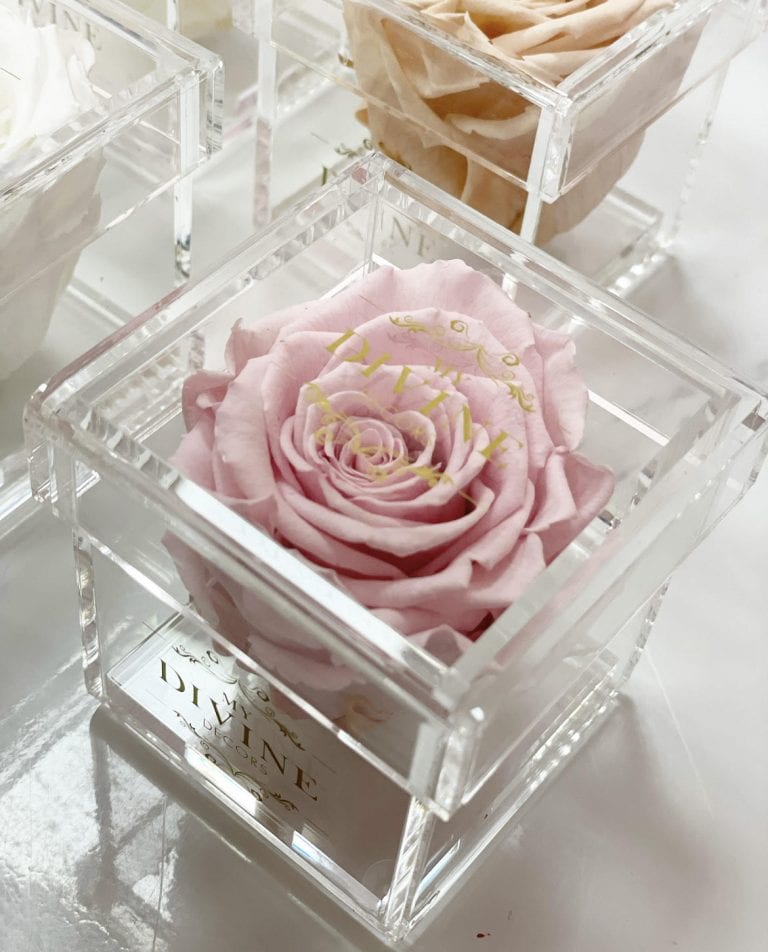 Single Mini Preserved Rose In Acrylic Box - My Divine Decors Flower ...