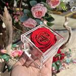 Rosa Mini Preservada en Caja Acrílica