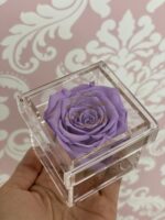 Rosa Mini Preservada en Caja Acrílica - Image 5