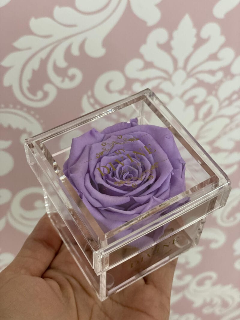 Single Mini Preserved Rose in Acrylic Box - Image 5