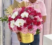 Carolyn Hatbox - Image 2