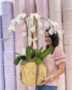 Orquídeas Swan en Florero de Madera Mediano