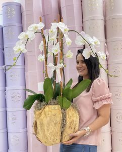 Swan Orchids in Medium Wooden Vase