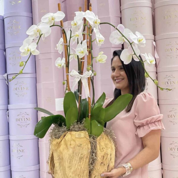 Swan Orchids in Medium Wooden Vase