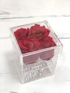 Jewel Acrylic Box Collection - Image 4