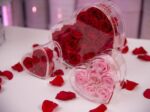 Colección Acrílica de Corazón