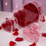 Heart Acrylic Collection