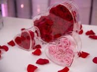 Heart Acrylic Collection