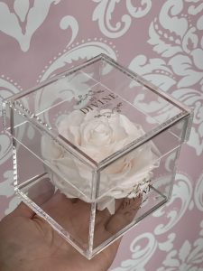 1 Large Preserved Rose (Choose color) - Image 4