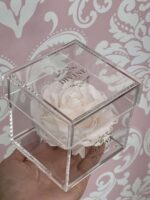 1 Rosa Premium Preservada (Seleccione color) - Image 4