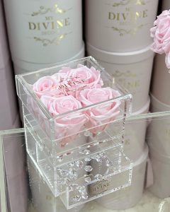 Jewel Acrylic Box Collection - Image 2