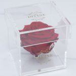1 Large Preserved Rose (Choose color) - Image 7