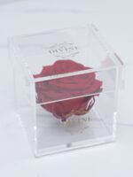 1 Rosa Premium Preservada (Seleccione color) - Image 7