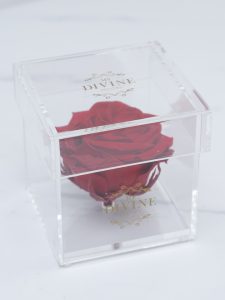 1 Large Preserved Rose (Choose color) - Image 7
