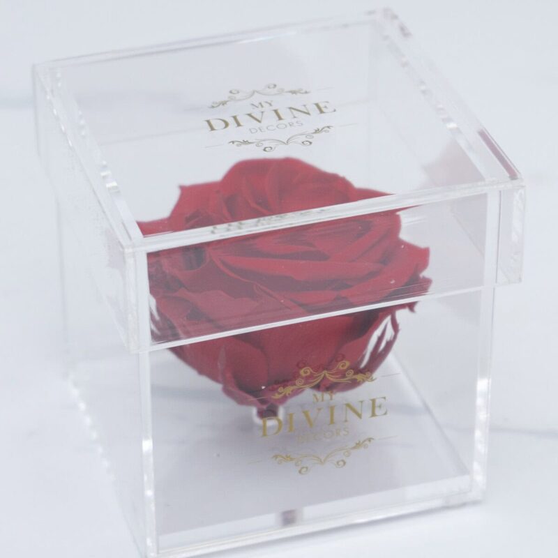 1 Large Preserved Rose (Choose color) - Image 7