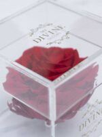 1 Rosa Premium Preservada (Seleccione color) - Image 8