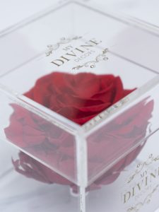 1 Large Preserved Rose (Choose color) - Image 8