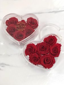Heart Acrylic Collection - Image 3