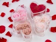 Heart Acrylic Collection - Image 4