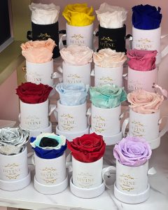 Le Petit Velvet - Image 8