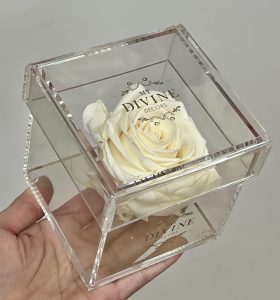 1 Large Preserved Rose (Choose color) - Image 5
