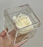 1 Rosa Premium Preservada (Seleccione color) - Image 5