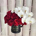 Caja de Firma Eiffel Mediana