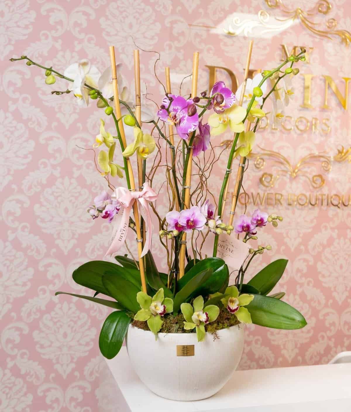 Mixed Orchids in Vase My Divine Decors Flower Boutique Flower