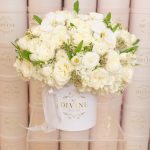 Caja Redonda El Amor es Puro